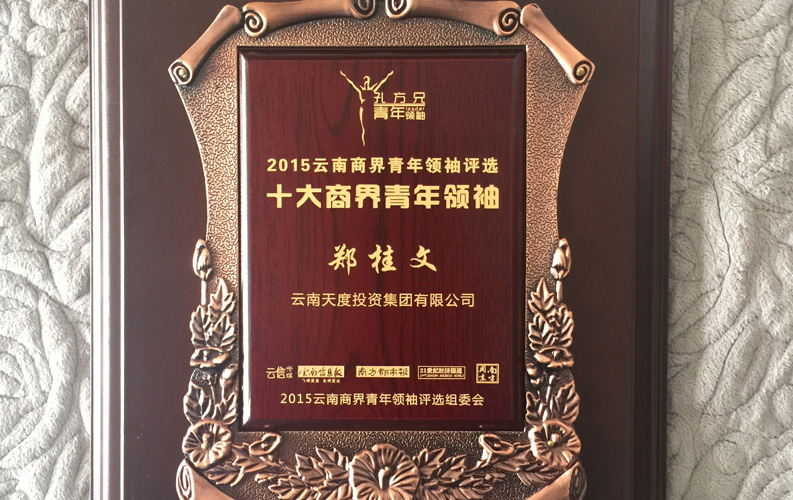 在“互聯(lián)網(wǎng)大時(shí)代”的背景下，天度作為本土很大和很有名的互聯(lián)網(wǎng)服務(wù)企業(yè)，為近萬家傳統(tǒng)企業(yè)轉(zhuǎn)型互聯(lián)網(wǎng)+提供了服務(wù)和幫助，獲此獎(jiǎng)項(xiàng)后，我們將再接再厲，創(chuàng)造更高的社會(huì)價(jià)值